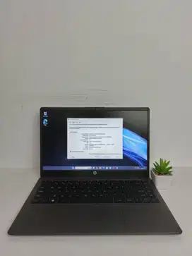Ready HP 245 G10