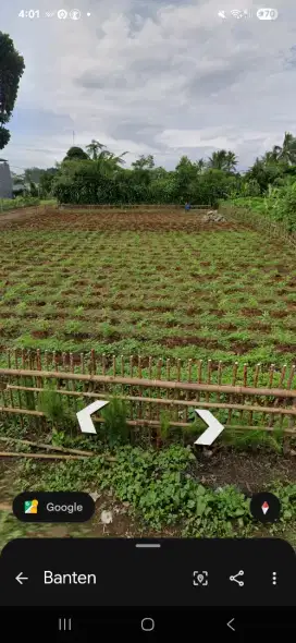 Tanah Dijual di cisauk