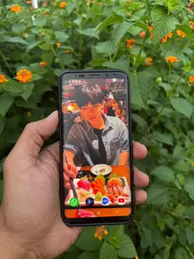 Samsung S8+sein