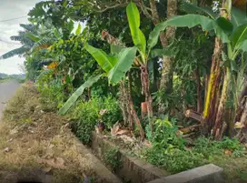 Dijual Tanah sekitar Jalan Bontonompo, Gowa