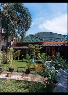 RUMAH BAGUS 2LT SEMIFURNIS SIAPHUNI BISA NEGO BUKIT GOLF HIJAU SENTUL