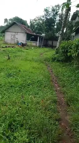 Jual tanah murah LT 200m², girik,  nempel jln kabupaten lewati angkot