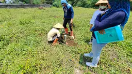 Tanah Dijual Selomartani Jogja, Harga Termurah, Sila Bandingkan