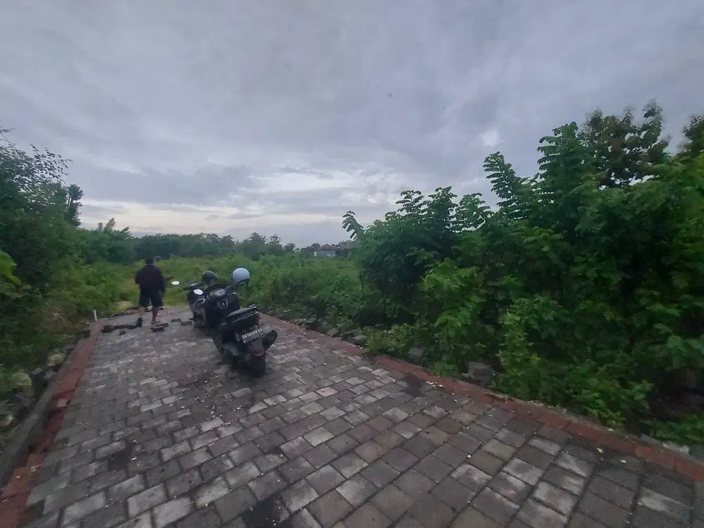 Dijual Tanah Kosong 5 Are Lokasi Tenang dan Sepi di Goa Gong, Ungasan.
