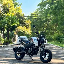 CF Moto Papio XO2 Hitam 2025