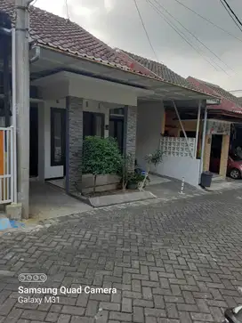 Rumah jalan ikan blimbing kota malang