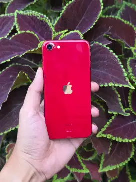 Iphone SE Gen 3 128Gb Resmi IBOX