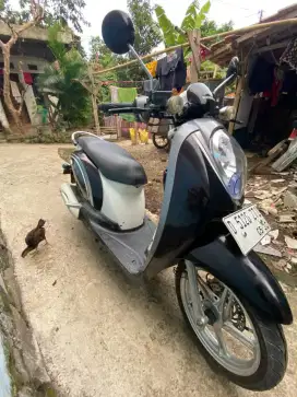 Scoopy karbu 2014