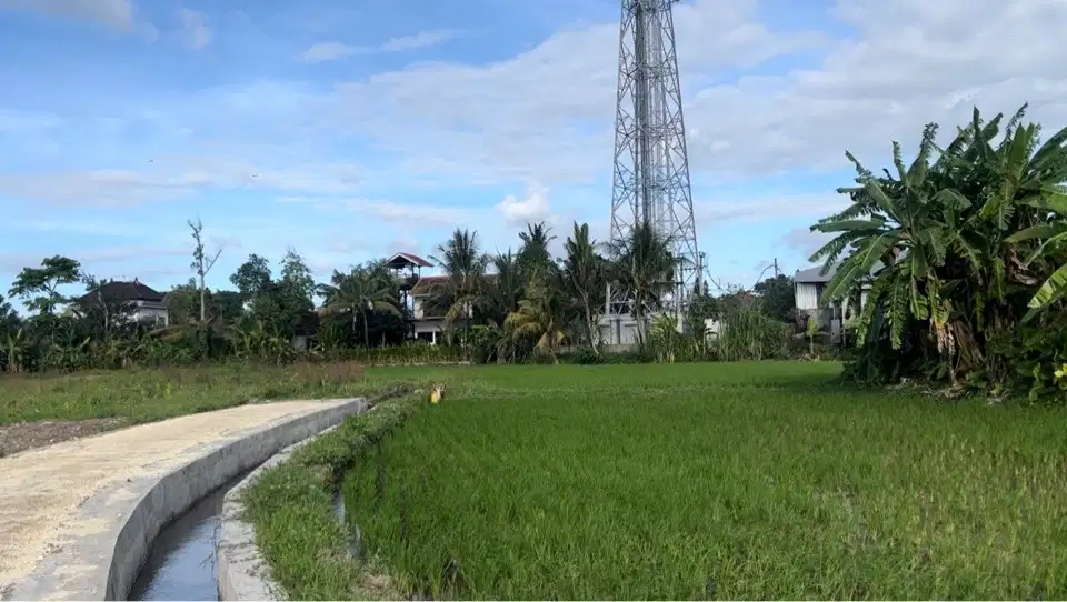 For Lease 15 Are Pink Zone Land in Canggu Cemagi.