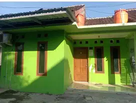 Rumah disewakan