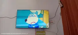 TV 55 Inc AQUA SMART TV
