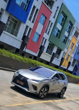 Tgn1 dr Baru | Lexus NX300 2.0 F Sport 2019 NX 300 fsport