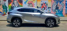 TDP 1 JT!! Lexus NX300 2.0 F-Sport 2019 NX 300 FSPORT