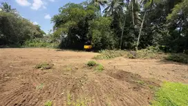 PASTI UNTUNG! Tanah Area Pemda Harga Hemat