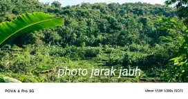 Tanah Luas 8000m² Bonus Rumah,Kebun & Sawah di Arjasari Bandung