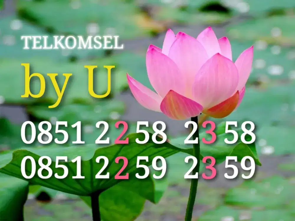 Bayu nomor cantik byU