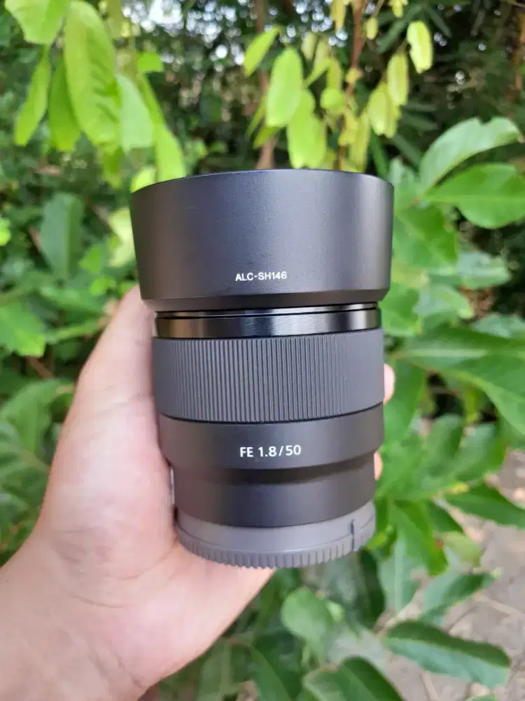 Lensa sony fe 50 mm f1.8 muluss