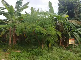 Di jual Tanah Dekat GDC ( Grand Depok City)