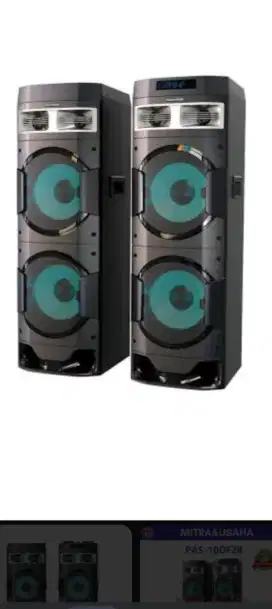 Speaker Polytron pas10 DF28
