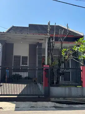 Disewakan rumah besar dengan harga terjangkau