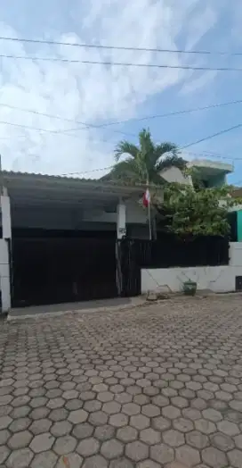 Disewa rumah satu lantai