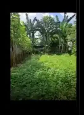Dijual Tanah Murah 135m² Lokasi di Caringin Rangkapan Jaya Depok