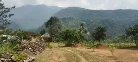 Dijual Lahan Rumah Kebun di kaki Gunung Salak Cijeruk/Cigombong Bogor