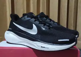 Nike Pegasus 41 size 43
