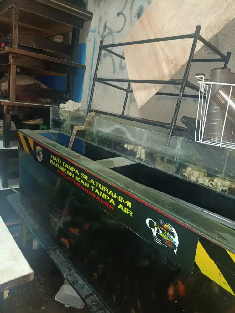 Aquarium bekas rasa baru