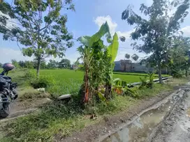 Tanah Sawah Samping Perumahan Cluster Siap Bangun Di Papahan  Kra (AA)