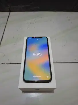 IPHONE XS MAX 256GB INTER ALL OP