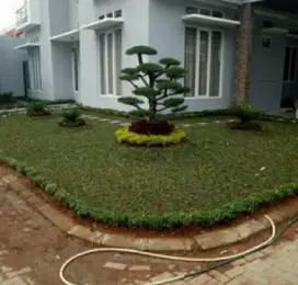 Taman rumah minimalis