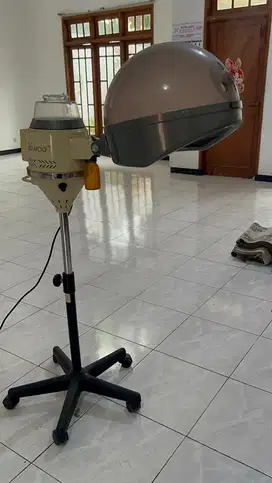 Steamer Rambut Seiwoo