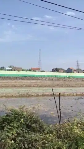 Dijual Tanah 2 Kavling Nol Jalan Provinsi Bangkingan Dekat Tol 8jt/m²