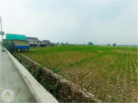 Tanah Mainroad Jalan Tol Soroja Cocok untuk Usaha