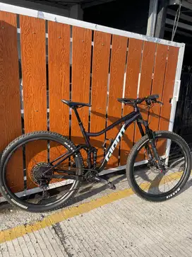 29ers MTB Giant Stance