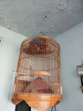 Dijual kandang murai dan lovebird
