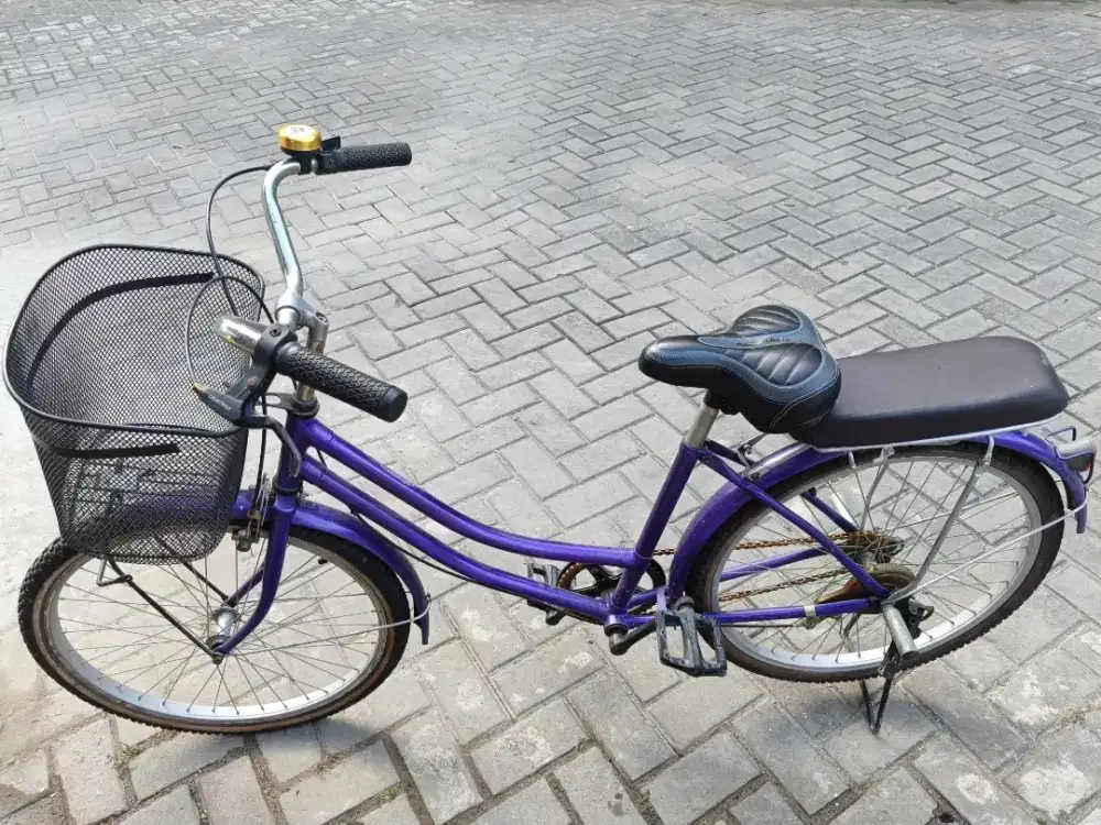 Sepeda mini ukuran 24