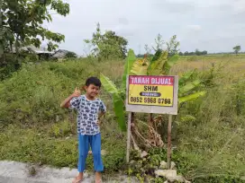 Tanah Prospek Cerah Investasi