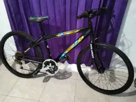 Sepeda ontel repaint polygon