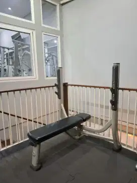 Alat Gym life fitnes