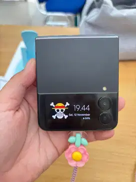Samsung ZLIP Minus LCD