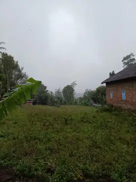 Dijual Tanah 2500 m² || Bisa dikavlingkan & nego
