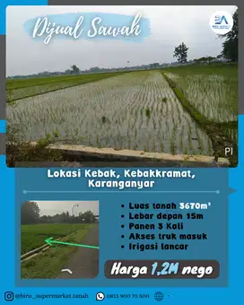 Tanah Sawah Sudah Panen 3 Kali