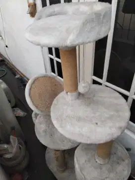 Tempat tidur kucing