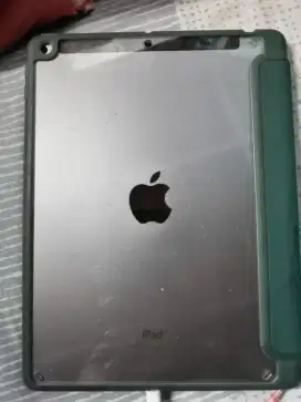 iPad Air 2 128 GB