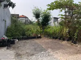 ‼️JUAL CEPAT‼️COCOK DIKAVLING TANAH BUNCITAN SEDATI SIDOARJO