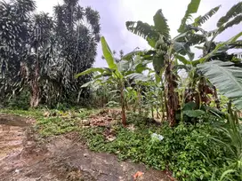 Kavling Eksklusif di Area Berkembang Sawangan, Dekat Tol Pamulang