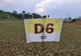 Jual Cepat Tanah Datar Luas 250m2 Megamendung Bogor