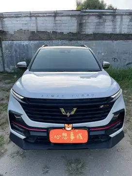 Almaz RS Pro 2021